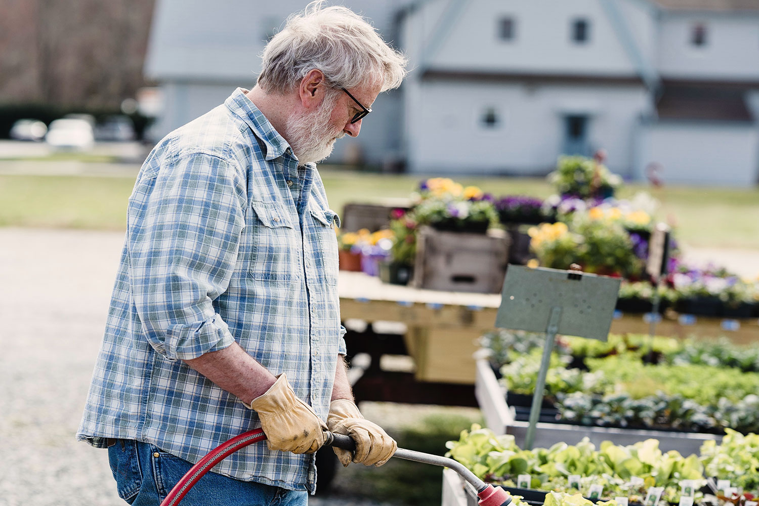 Man Gardening